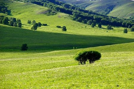 Gongger Grassland is the Mongolian grassland closest to Beijing, combining beautiful natural landscape and fascinating Mongolian folk culture. The grassland is located in Keshiketeng Banner, boasting one of the world's two remaining forests of Korean spruce wood, which is regarded as a 'living fossil'. [Globaltimes.cn]