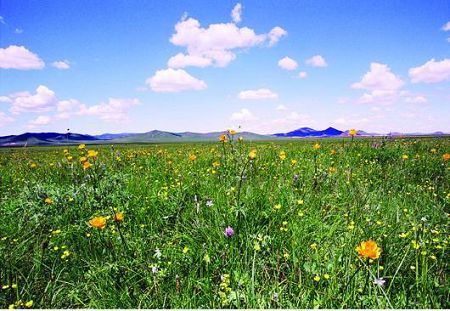 Gongger Grassland is the Mongolian grassland closest to Beijing, combining beautiful natural landscape and fascinating Mongolian folk culture. The grassland is located in Keshiketeng Banner, boasting one of the world's two remaining forests of Korean spruce wood, which is regarded as a 'living fossil'. [Globaltimes.cn] 