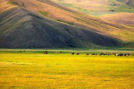 Hulunbeier Grasslands is considered as the finest pasture in China. In the summer, visitors can go horseback riding and watch horseracing and wrestling matches.