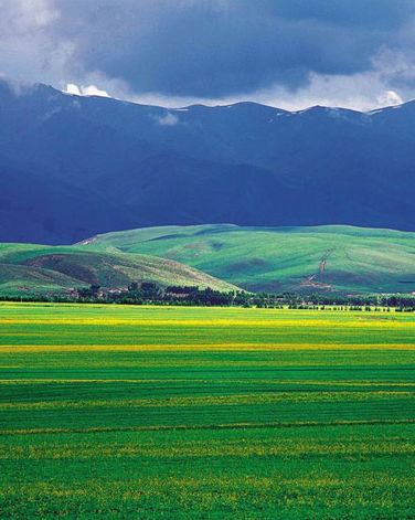 Hulunbeier Grasslands is considered as the finest pasture in China. In the summer, visitors can go horseback riding and watch horseracing and wrestling matches.