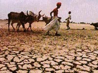 UN: Past decade may be warmest on record