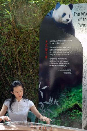 A Chinese artist plays Chinese traditional musical instruments at the welcoming ceremony held at Adelaide Zoo, in Adelaide, Australia, Dec. 13, 2009. China&apos;s giant pandas Wang Wang and Funi released to their new enclosure Bamboo Forest in Australia&apos;s Adelaide Zoo for the first time on Sunday. Australian Governor-General Quentin Bryce and Chinese ambassador to Australia Zhang Junsai attended the welcoming ceremony held by Adelaide zoo on Sunday. [Cao Yang/Xinhua]