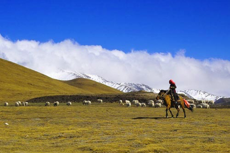 Established in 1985, Xilinguole National Natural Reserve in the Inner Mongolia Autonomous Region is China&apos;s first grassland national reserve that covers a total area of 10,786 square kilometers. It also joined the UNESCO Man and Biosphere Reserve Programme in 1987. [Global times]