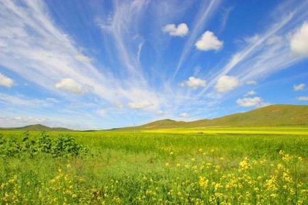 Established in 1985, Xilinguole National Natural Reserve in the Inner Mongolia Autonomous Region is China&apos;s first grassland national reserve that covers a total area of 10,786 square kilometers. It also joined the UNESCO Man and Biosphere Reserve Programme in 1987. [Global times]
