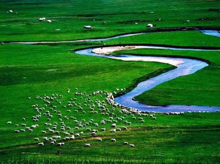 Established in 1985, Xilinguole National Natural Reserve in the Inner Mongolia Autonomous Region is China&apos;s first grassland national reserve that covers a total area of 10,786 square kilometers. It also joined the UNESCO Man and Biosphere Reserve Programme in 1987. [Global times]