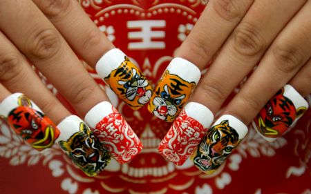 A lady shows a set of false nails with tiger designs at a nail saloon in Yuncheng, north China&apos;s Shanxi province Dec. 13, 2009. The year of 2010 is the year of tiger in Chinese lunar calendar. [Xue Jun/Xinhua]