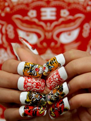 A lady shows a set of false nails with tiger designs at a nail saloon in Yuncheng, north China&apos;s Shanxi province Dec. 13, 2009. The year of 2010 is the year of tiger in Chinese lunar calendar. [Xue Jun/Xinhua]