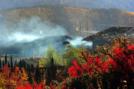 Undated photo shows the enchanting view of Shangri-la County, Diqing Tibetan Autonomous Prefecture, southwest China's Yunnan Province. (Photo: tibet.cn) 