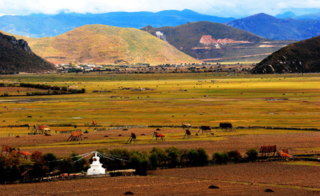 Undated photo shows the enchanting view of Shangri-la County, Diqing Tibetan Autonomous Prefecture, southwest China's Yunnan Province. (Photo: tibet.cn) 