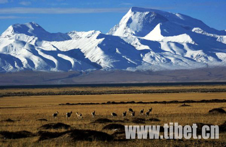 Photo shows the Naimona'nyi Peak, 7,694 m above sea level, in the western section of the Mt. Himalaya, Tibet. (Photo: tibet.cn)