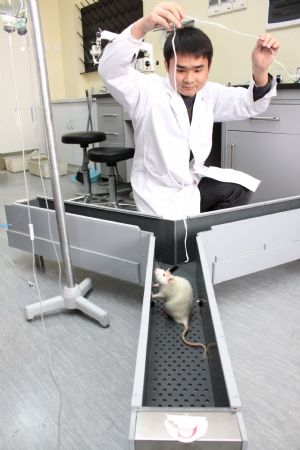 A resercher conducts practices with a guinea pig during a scientific experiment at the Laboratory of the Tianjin Medical University in north China&apos;s Tianjin municipality on Dec. 23, 2009. The Tianjin Neural Engineering Research Centre is formed on Wednesday as a result of cooperation between Tainjian Medical University and Tianjin University. (Xinhua/Li Xiang) 