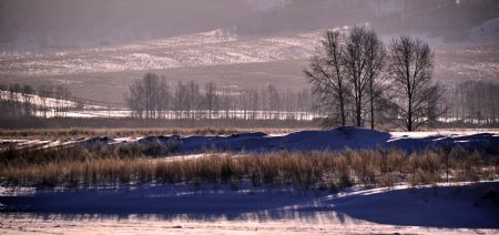 Photo taken in Yakeshi, north China&apos;s Inner Mongolia Autonomous Region, Dec. 22, 2009, shows the scenery covered with snow.(Xinhua/Li Xin)