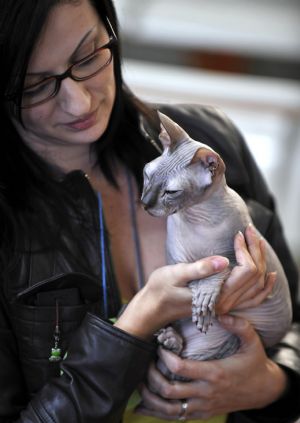 A woman holds a Don Sphinx cat during an international cat show in Moshav Bet Hefer near Netanya December 25, 2009. The annual event organised by the World Cat Federation (WCF) featured about 250 breeds of cats.