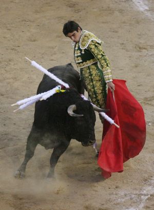 Spanish bullfighter Miguel Angel Perara performs during a bullfighting festival at Canaveralejo plaza in Cali December 28, 2009.(Xinhua/Reuters Photo)