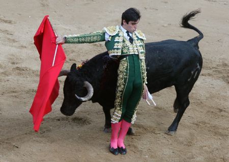 Spanish bullfighter Miguel Angel Perara performs during a bullfighting festival at Canaveralejo plaza in Cali December 28, 2009.(Xinhua/Reuters Photo)