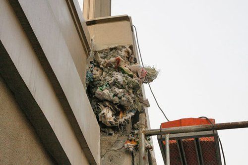 A mixture of garbage including plastic bags and foam used to fill part of a major bridge over Shanghai's Suzhou Creek spills out of cracks on Monday.[Chinanews.com]