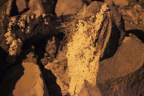 Foam used to fill part of a major bridge over Shanghai&apos;s Suzhou Creek spills out of cracks on Monday. [Chinanews.com.cn]