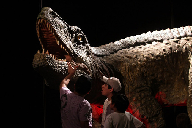 Visitors look at a model during a dinosaur exhibition in Buenos Aires, capital of Argentina, Dec. 29, 2009. The dinosaur exhibition shows the fossils and models of the dinosaurs which lived in remote antiquity in north Argentina&apos;s San Juan Province. [Martin Zabala/Xinhua]