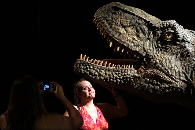 A visitor poses with a model during a dinosaur exhibition in Buenos Aires, capital of Argentina, Dec. 29, 2009. The dinosaur exhibition shows the fossils and models of the dinosaurs which lived in remote antiquity in north Argentina&apos;s San Juan Province. [Martin Zabala/Xinhua]