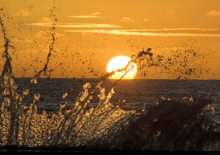 Waves crash into a wall as the sun sets on Waikiki Beach in Honolulu, Hawaii January 2, 2010.(Xinhua/Reuters Photo)