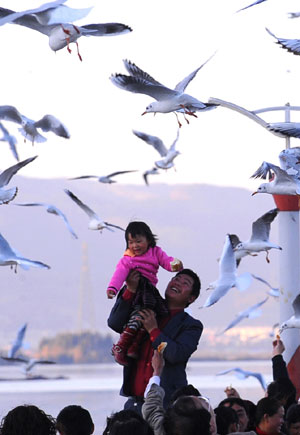 A child looks on as black-headed gulls fly over in Kunming, capital of southwest China's Yunnan Province, Jan. 3, 2010. More than 30,000 black-headed gulls migrated from Siberia to Kunming to live through the winter since last November. (Xinhua/Chen Haining)