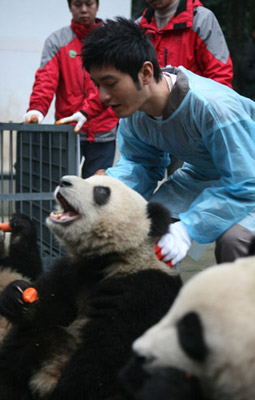 Actor Huang Xiaoming shares a light moment with giant pandas in Ya'an, Sichuan Province on January 5, 2010.