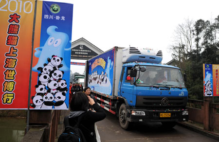 Trucks loaded with ten giant pandas leave for Shanghai from Bifeng Gorge Breeding Base of Sichuan in Ya&apos;an, southwest China&apos;s Sichuan Province, Jan. 5, 2010. The ten giant pandas, six females and four males selected by China Wolong Giant Panda Protection and Research Center, headed for Shanghai, host city of the 2010 World Expo, Tuesday on a chartered plane for a year-long display. [Chen Xie/Xinhua] 