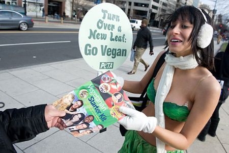 An activist &apos;Lettuce Lady&apos; of PETA(People for the Ethical Treatment of Animals) hands out the pamphlet to a passenger in cold winter at Farragut Square, Washington of the United States, Jan. 4, 2009. This activity aims to promote the meat-free lifestyle.[chinanews.com.cn]