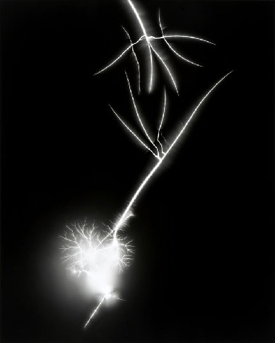 An electric spark seen during an experiment conducted by Japanese scientist Hiroshi Sugimoto. [CRI]