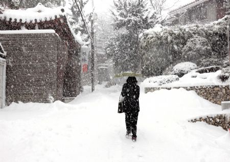 A pedestrian walks in heavy snow at a street in Seoul, capital of South Korea, Jan. 4, 2010. Seoul and surrounding regions witnessed the biggest snowfall in the recent 9 years on Monday.[Xinhua]