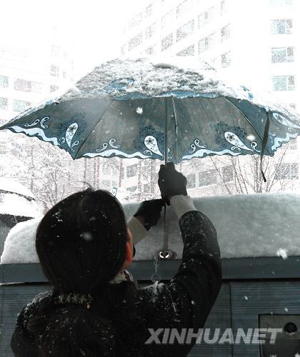 Snowstorm blasts Seoul, capital of South Korea, Jan. 4, 2010. Seoul and surrounding regions witnessed the biggest snowfall in the recent 9 years on Monday.[Xinhua]