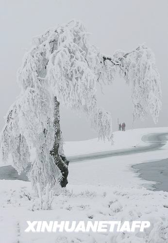 Germany encountered heavy snow on Jan.5, 2009, leaving transportation into half-standstill. [Xinhua/AFP]