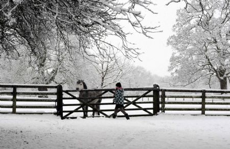 A girl walks up to a pony in a snow-covered field in Helperby, northern England January 5, 2010. Freezing conditions and heavy snowfall brought more chaos to the transport network on Tuesday, shutting airports and disrupting train services.[Xinhua/Reuters]