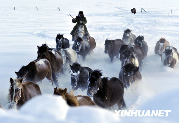 A total of 261,800 people in 12 counties or cities were affected by the blizzard hitting Xinjiang&apos;s Tacheng and Altay regions this week, which resulted in blackout and transport disruption in some areas. [Xinhua]