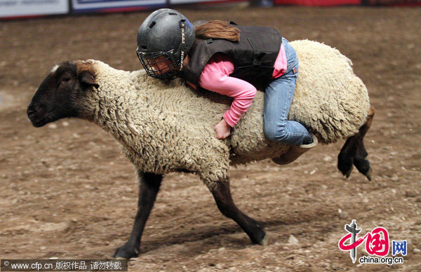 Local kids compete at the Professional Bull Riders Championship at Madison Square Garden in New York City on January 10, 2010. Shane Proctor is the winner of the 2009 Professional Bull Riders Championship. [CFP]