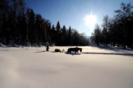 A Kazak herdsman sledge across the frozen riverbed of Ertix River in Keketuohai Town of northwest China's Xinjiang Uygur Autonomous Region, Jan. 10, 2010. 