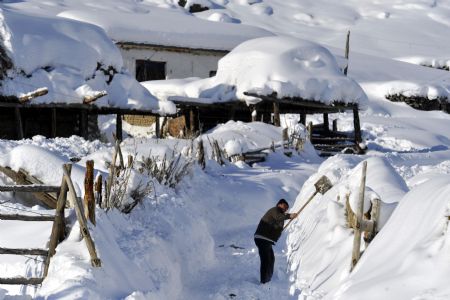 A man cleans snow in front of his house in Keketuohai Town of northwest China's Xinjiang Uygur Autonomous Region, Jan. 10, 2010. Keketuohai, the second coldest places in China, witnessed heavy snowfalls on Jan. 6-8, where the lowest temperature was nearly 40 degrees Celsius below zero.