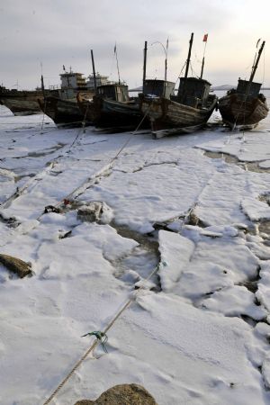 Fishing boats are seen in the frozen Laizhou Bay, east China's Shandong Province, Jan. 12, 2010. The most severe icing situation in the past 30 years in the coast off Shandong Province continued to worsen amid cold snaps. Sea ice appeared last week along the coastline of the Bohai Sea and northern Yellow Sea as cold fronts pushed the temperature down to minus 10 degrees Celsius.