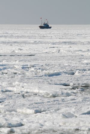A vessel is trapped amid floating ice chunks at Sanshandao Fishing Port of Laizhou City, east China's Shandong Province, Jan. 15, 2010.