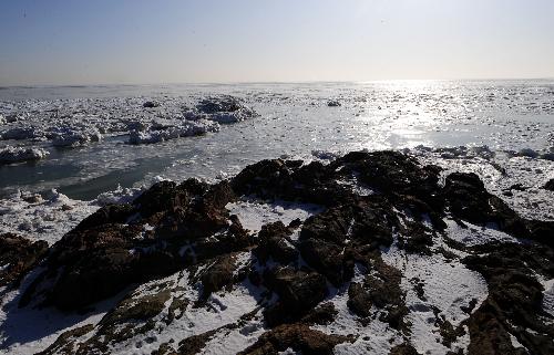 Photo taken on Jan. 22, 2010 shows the sea ice on the seashore in Xingcheng, northeast China's Liaoning Province. 