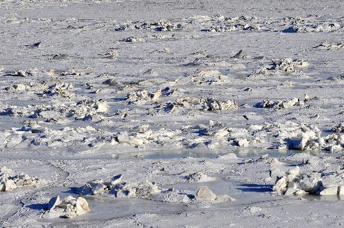 Photo taken on Jan. 22, 2010 shows the sea ice on the seashore in Xingcheng, northeast China's Liaoning Province. 