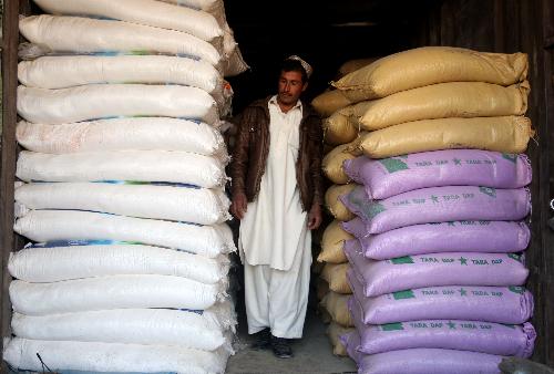 An Afghan seller counts bags of fertilizer at his shop in the Afghan capital Kabul, Jan. 24, 2010. (Xinhua/Zabi Tamanna)