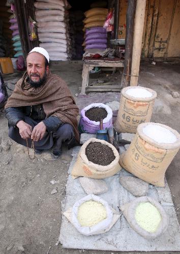 An Afghan seller sits next to bags of fertilizer at his shop in the Afghan capital Kabul, Jan. 24, 2010. (Xinhua/Zabi Tamanna)