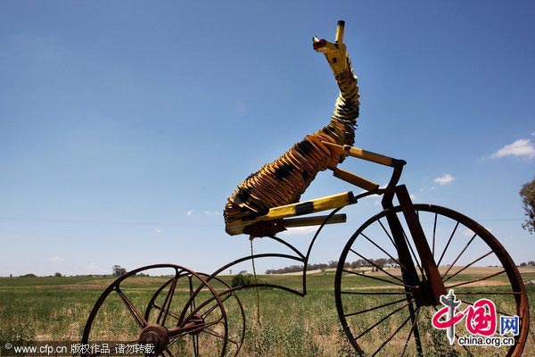 A sculpture is exhibited as part of the &apos;Animals On Bikes&apos; Paddock Art sculpture tourist trail along Obley Road on January 24, 2010 in Cumnock, Australia.