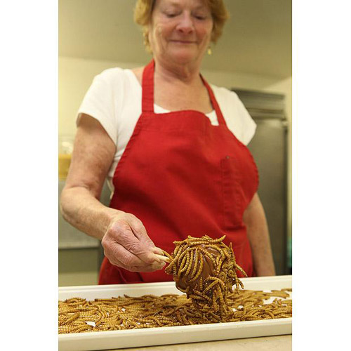 &apos;We feed the worms things like oatmeal, apple peel and banana peel so they are clean bugs filled with nutrients.&apos;[CCTV.com] 