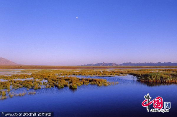 The Qaidam Lake in northwest China&apos;s Qinghai Province. [CFP]