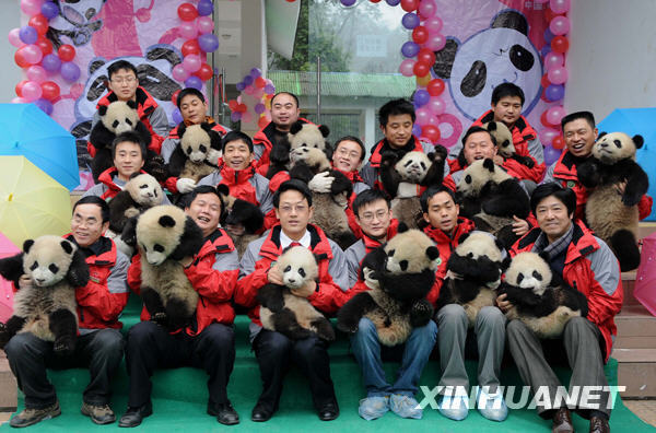 Sixteen giant panda cubs pose with the staff members in the Wolong National Nature Reserve in southwest China&apos;s Sichuan Province, Feb. 3, 2010. Sixteen giant panda cubs born in 2009 were separated from their mothers and moved into the kindergarten to begin their independent life on Wednesday. [Xinhua]