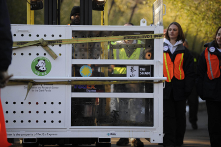 The crate carrying giant panda Tai Shan is being loaded onto a truck at the National Zoo in Washington,Thursday, Feb. 4, 2010.[Xinhua]