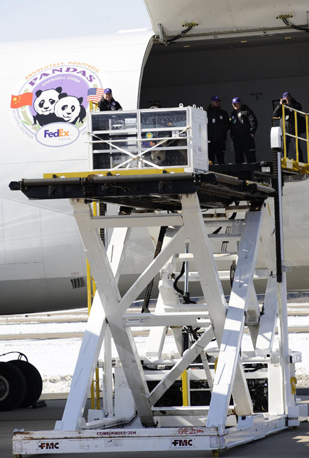The crate carrying giant panda Tai Shan is being loaded onto a cargo plane for a trip to China, Thursday, Feb. 4, 2010, at Dulles International Airport in Chantilly, Virginia. [Xinhua] 