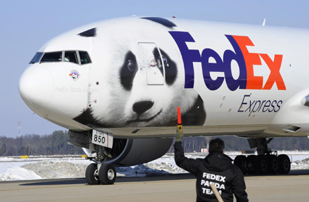 The plane carrying giant pandas Mei Lan of Atlanta, and Tai Shan of Washington, taxis for departure for a trip to China, Thursday, Feb. 4, 2010, at Dulles International Airport in Chantilly, Virginia. [Xinhua] 